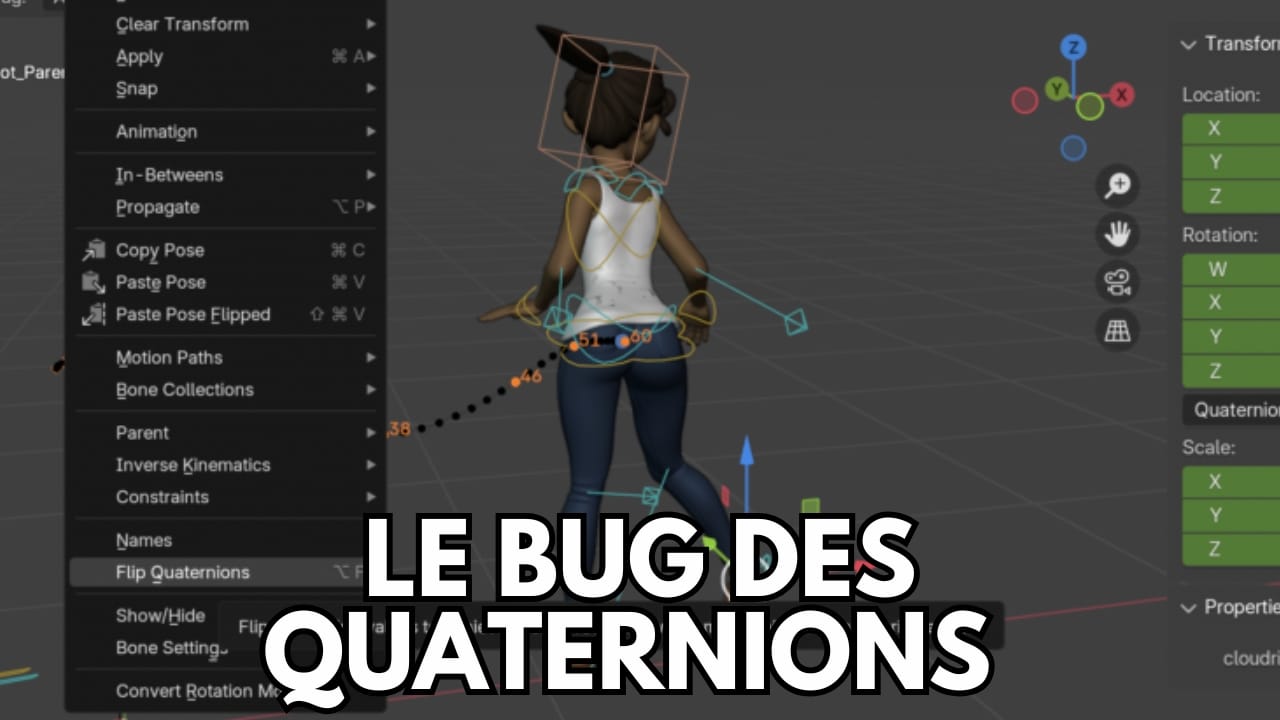 Le Bug des Quaternions (Quaternion Bug)